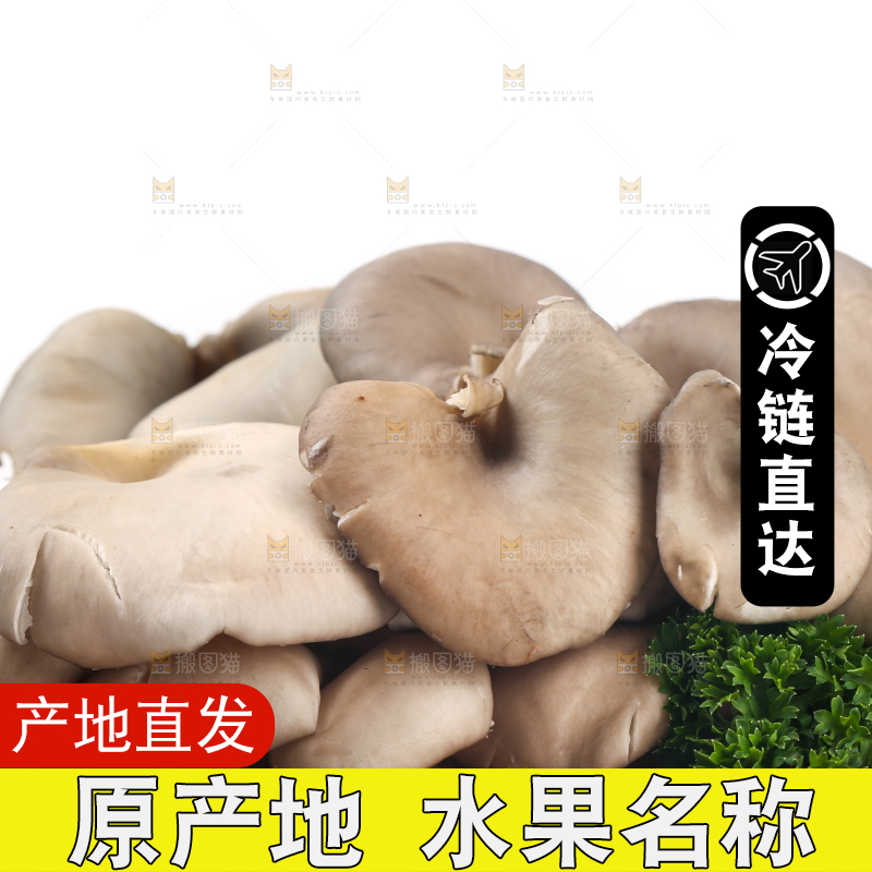木底上摆放着平菇
