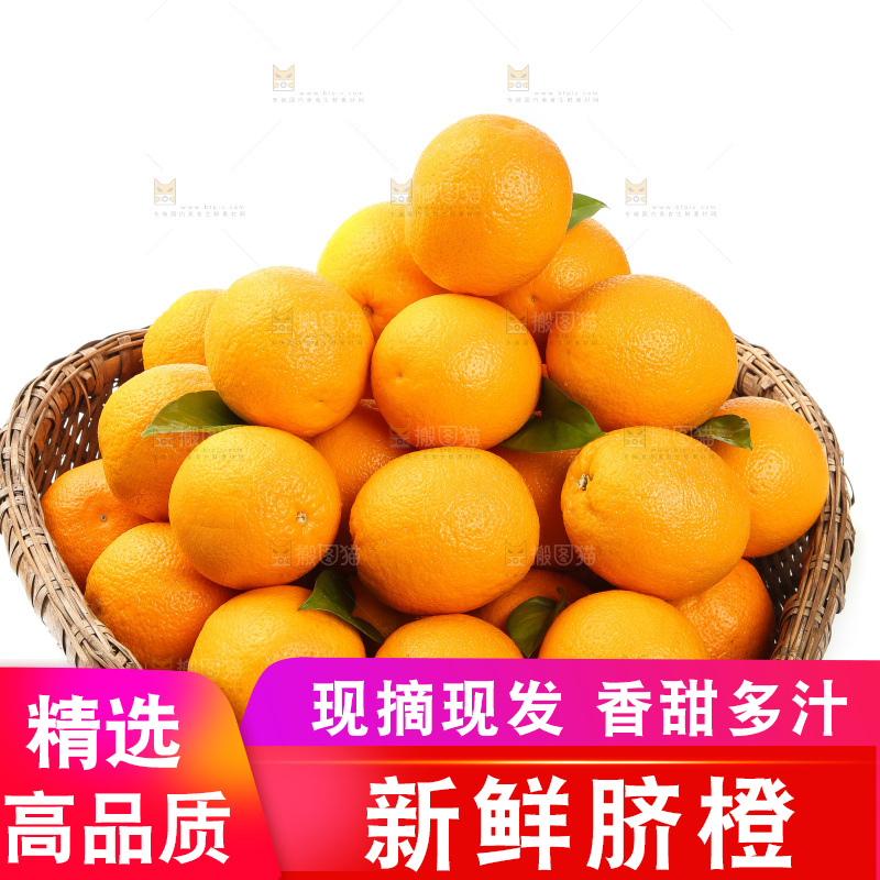 篮子里放着甜橙