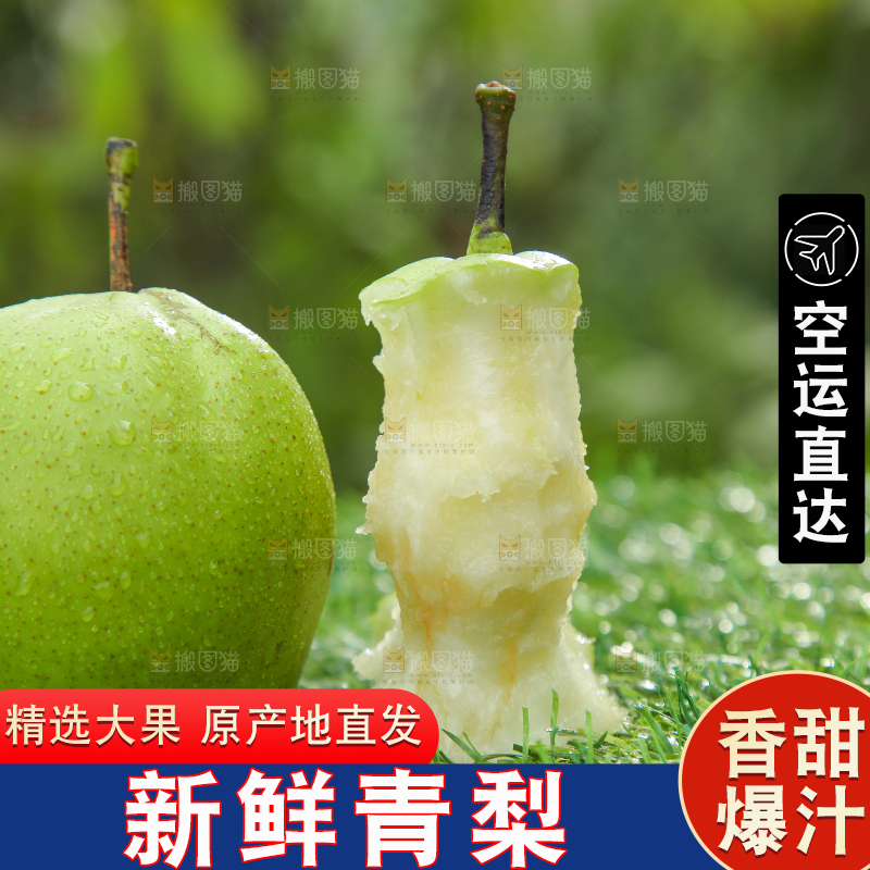 草地上放着早酥梨果核