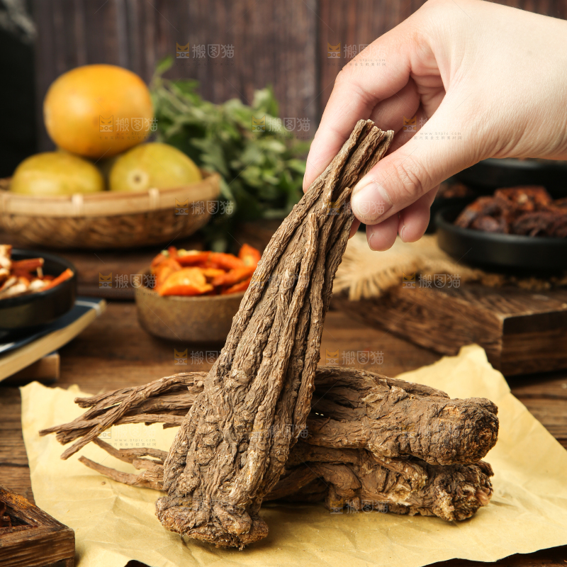 手里拿着当归