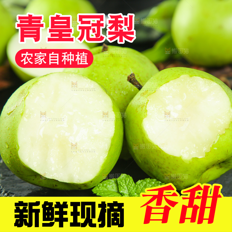 黑底上的砀山青梨