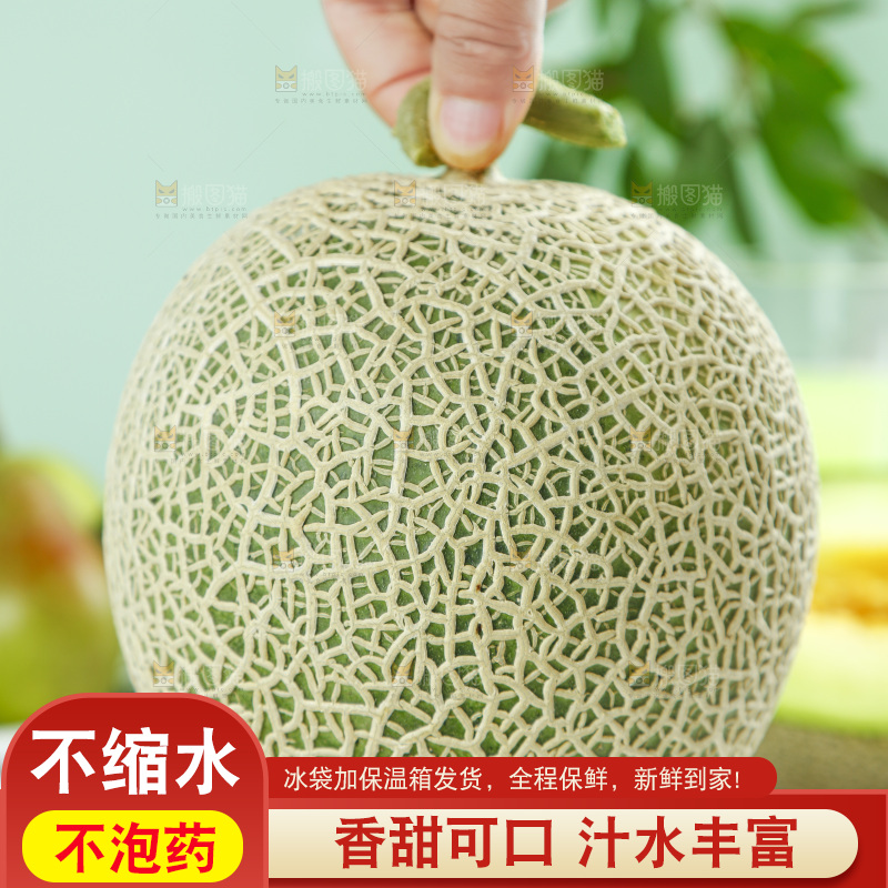 手拿玫珑蜜瓜