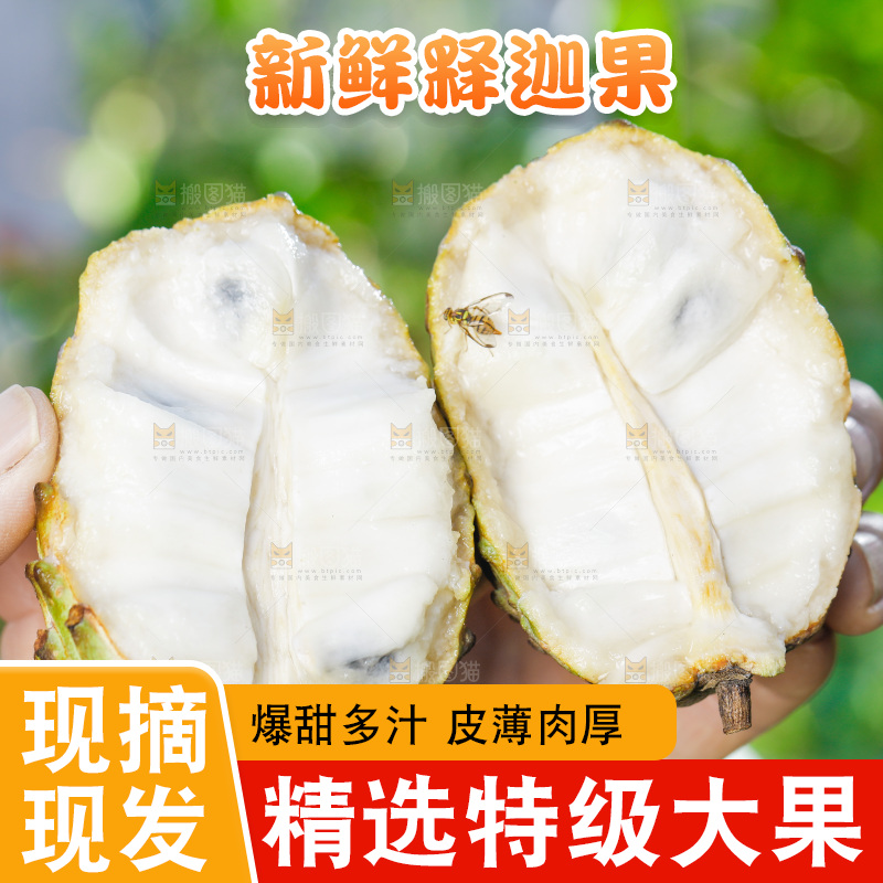 手里拿着释迦果