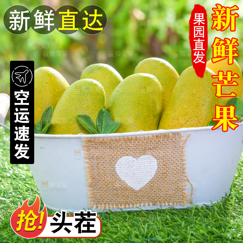 草地上放着一桶椰香芒