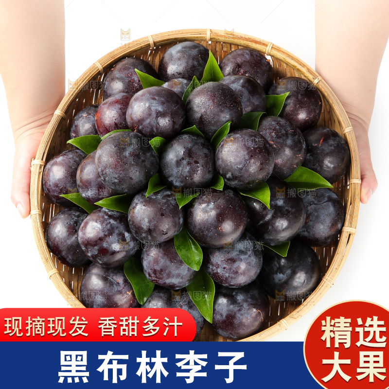 白底上手端一盘黑布林