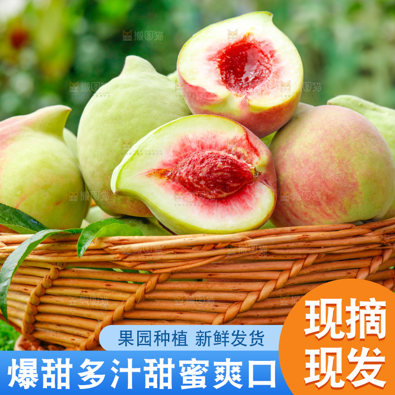 草地上的鹰嘴桃