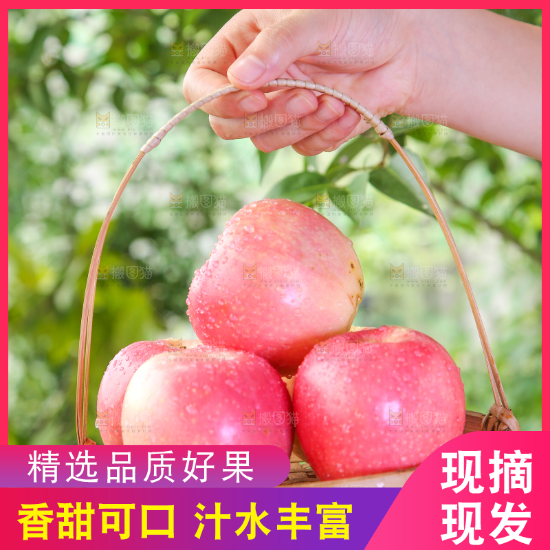 手拿一篮嘎啦苹果