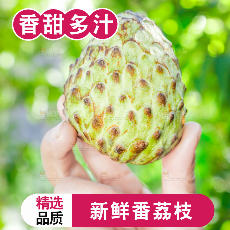 手里拿着释迦果