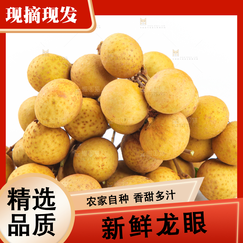 白底上的龙眼