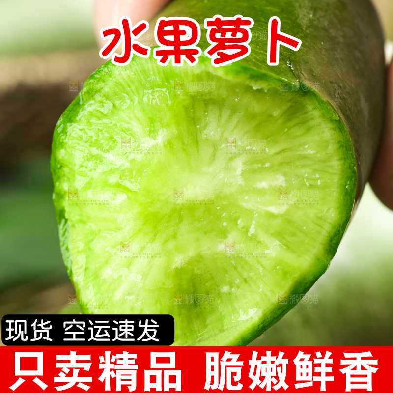 手里拿着绿心萝卜