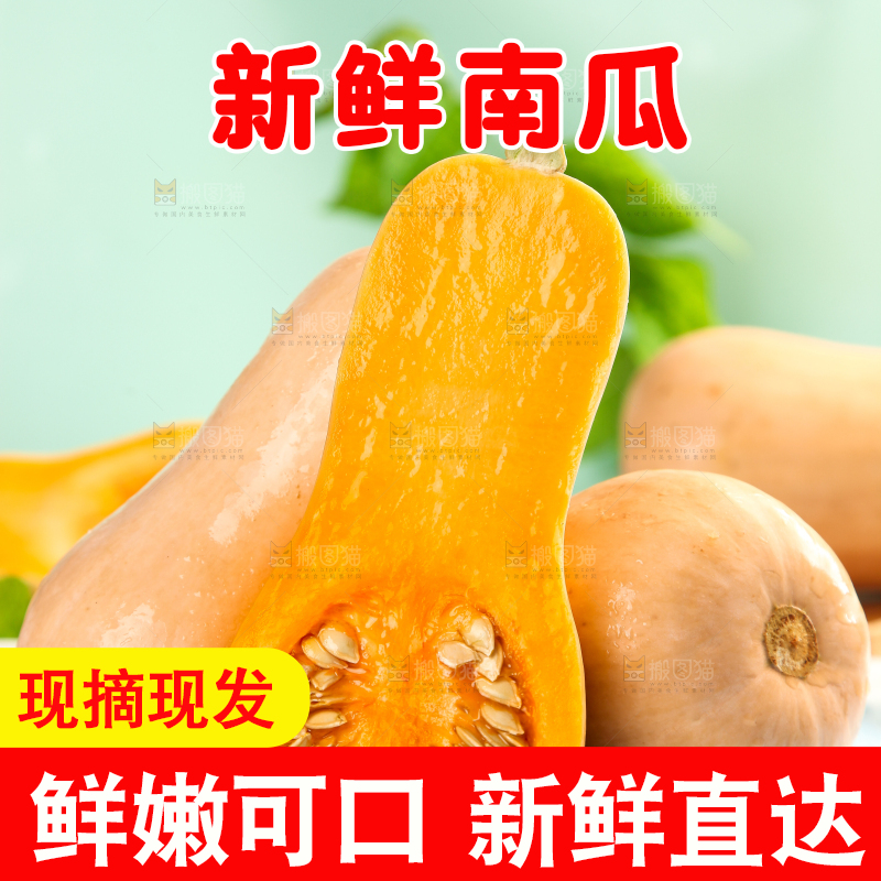 蓝底上放着一盘奶油南瓜