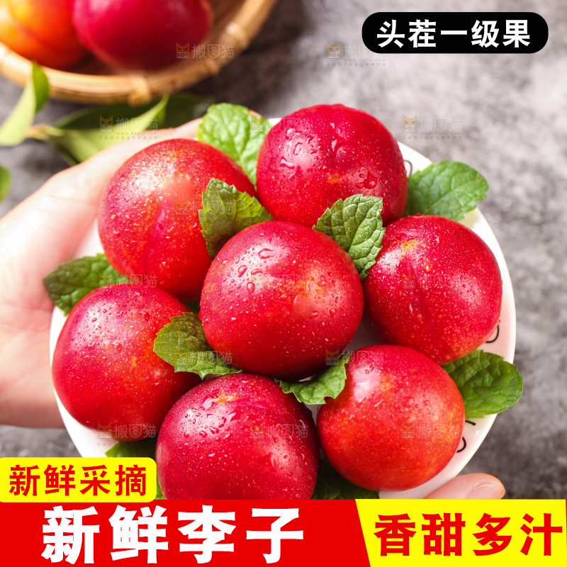 手端一盘珍珠李