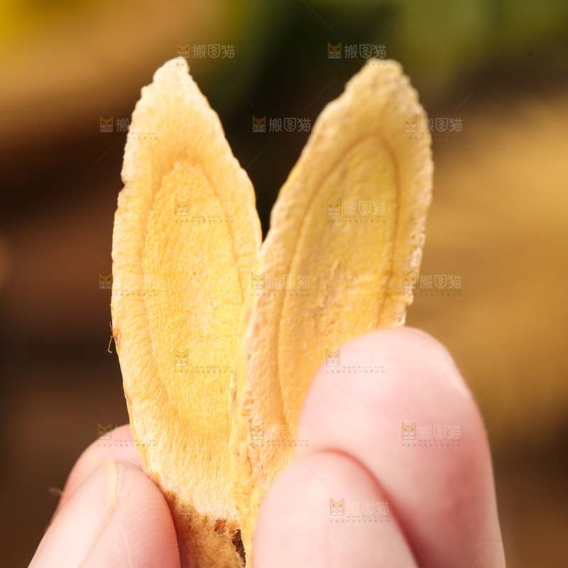 手里拿着黄芪