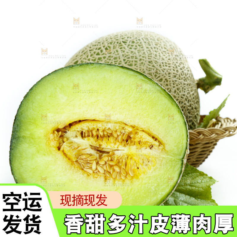 切开的玫珑瓜蜜瓜放在白底上