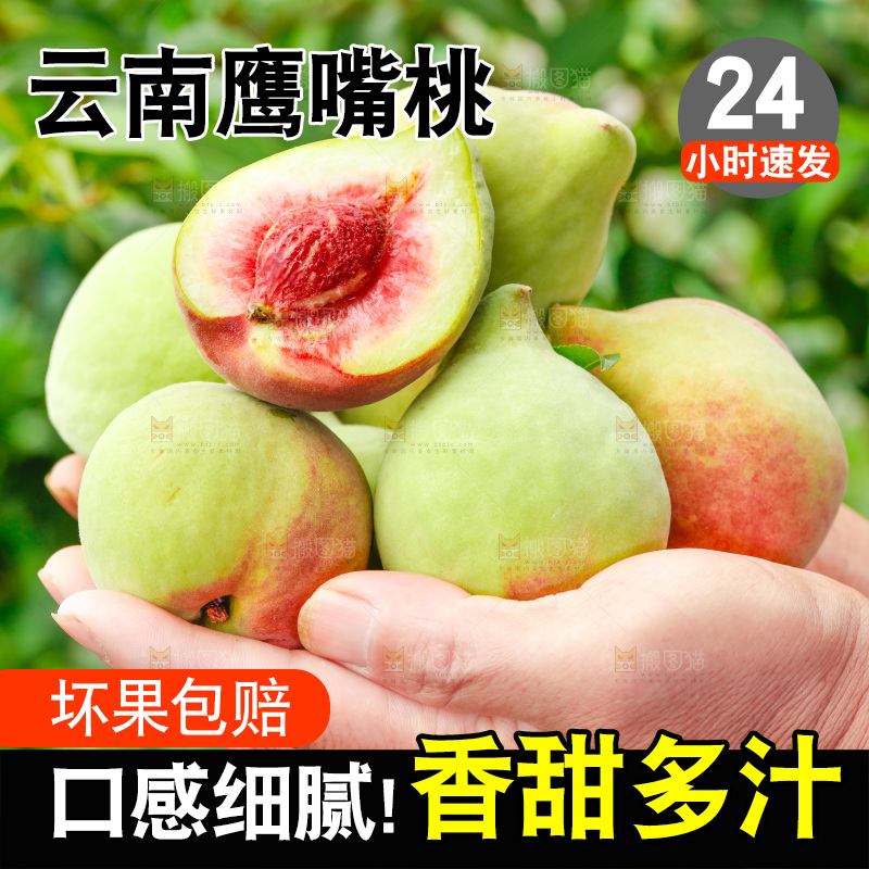 手拿云南鹰嘴黑美人桃子