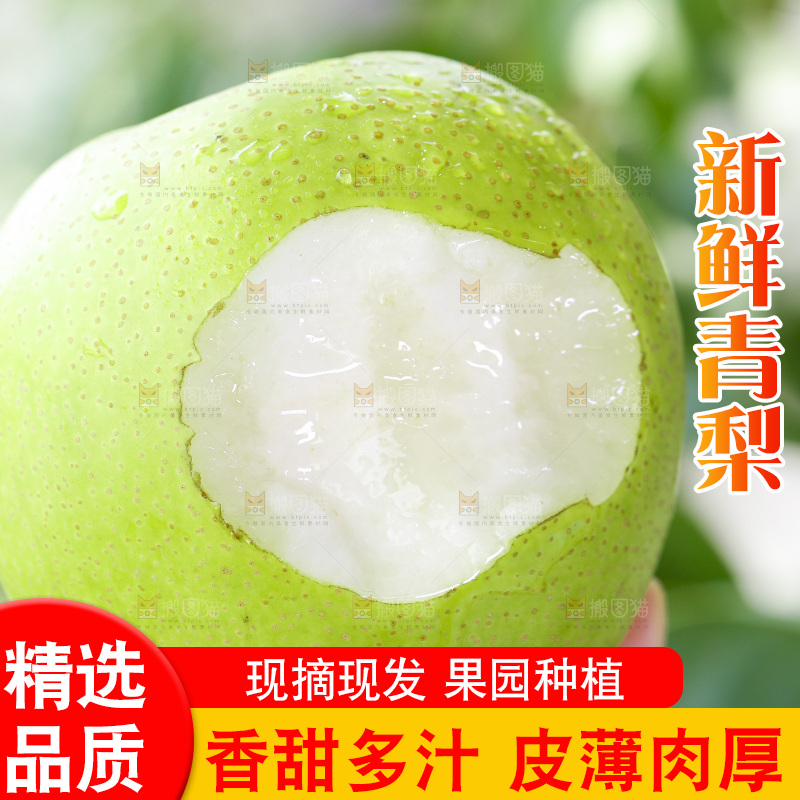 手拿一盘青皮翠冠梨