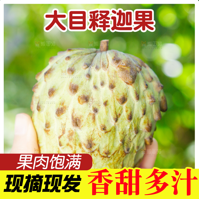 手里拿着释迦果