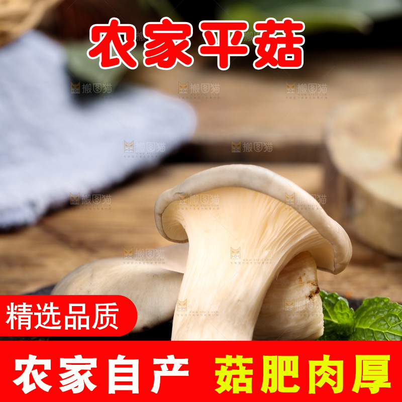 黑底上摆放着平菇