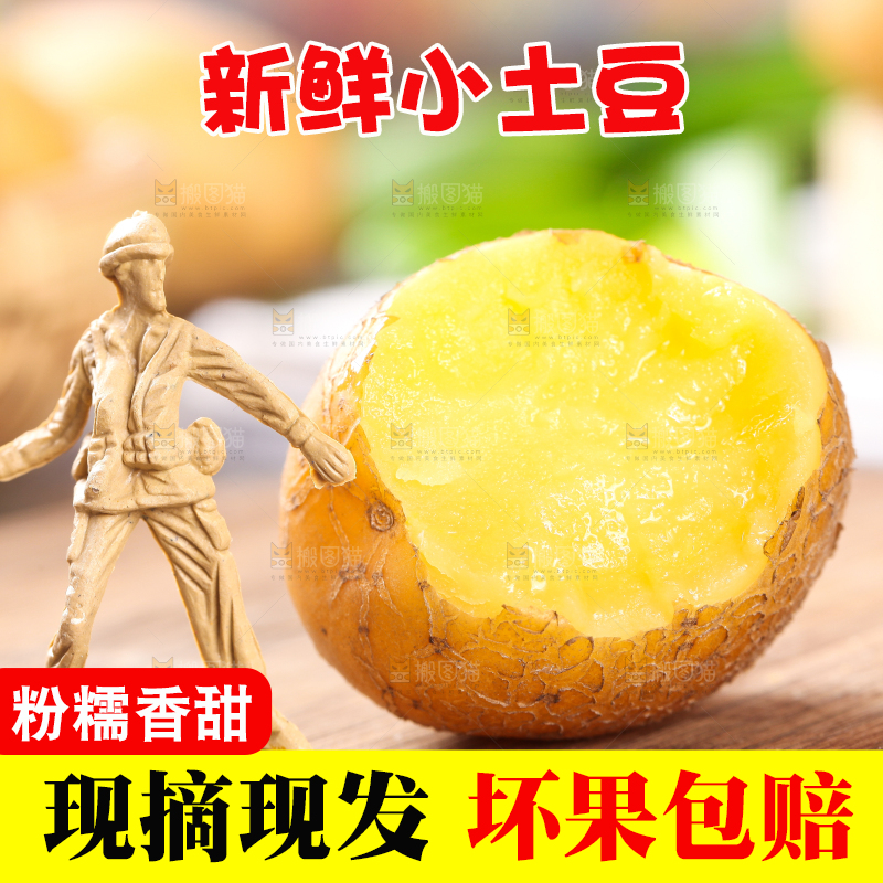 木底上的云南黄心小土豆