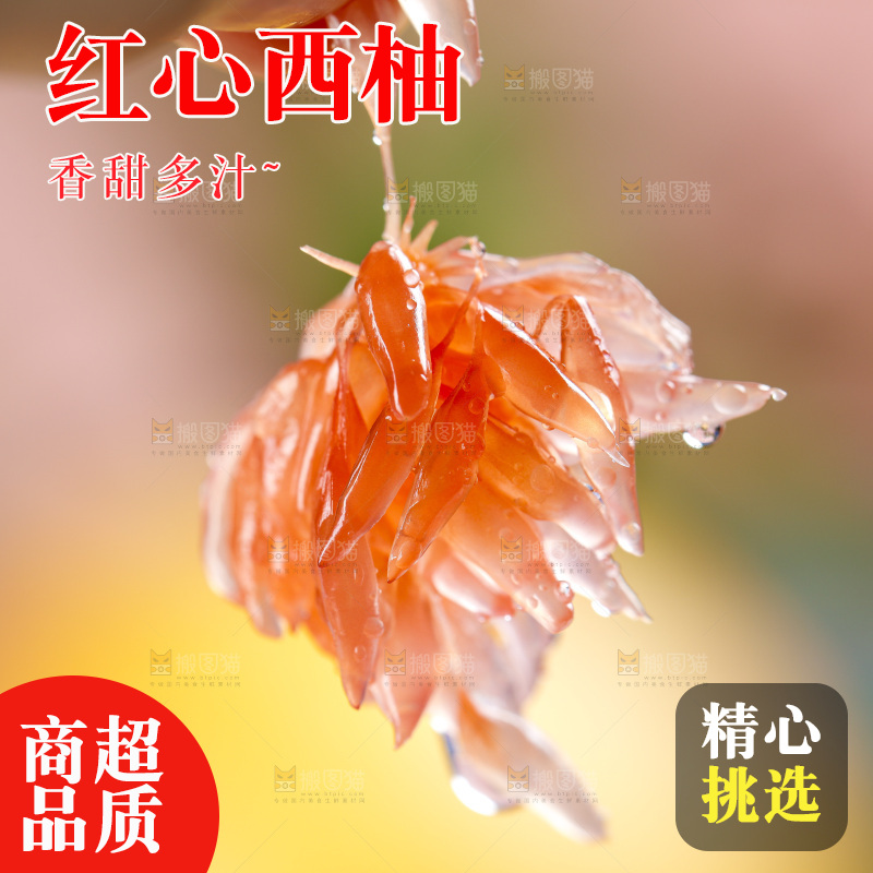 手拿剥皮红心西柚果肉