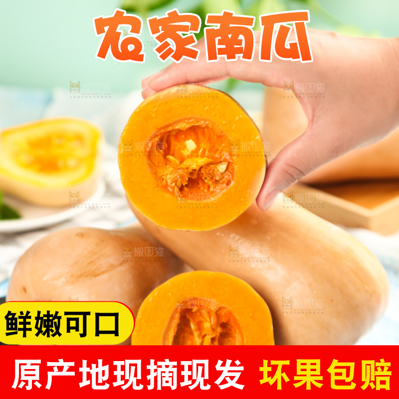 手拿切开的奶油南瓜