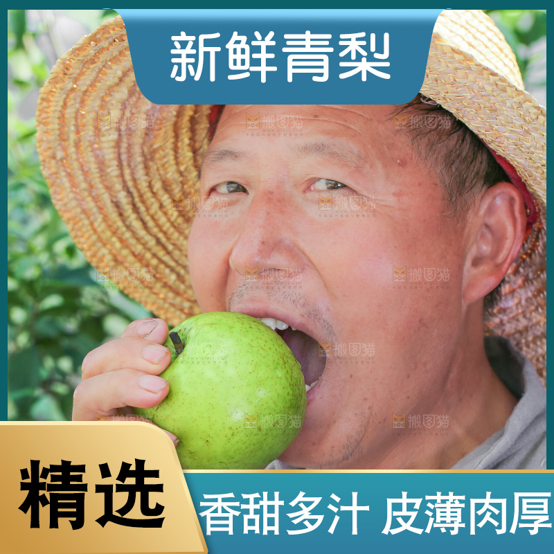 农民正在吃青皮梨