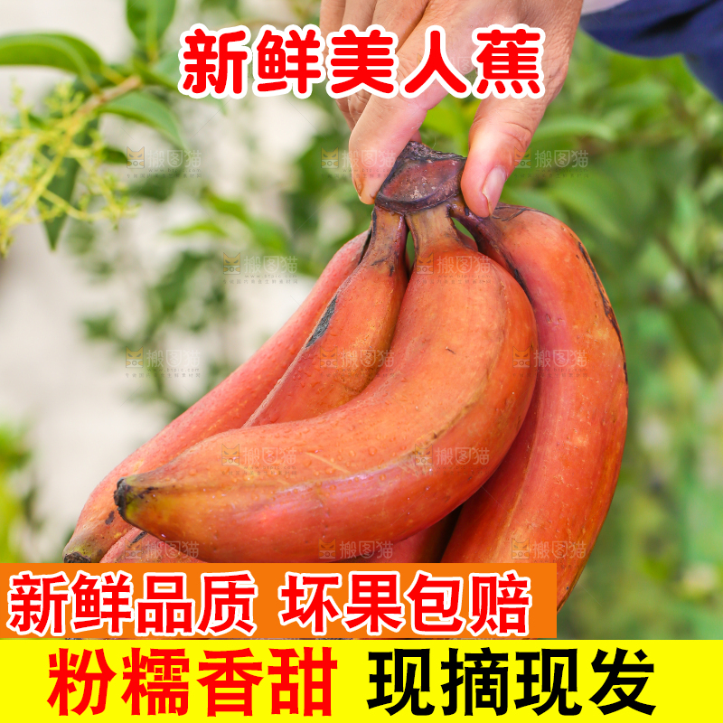 手里拿着一把红皮香蕉