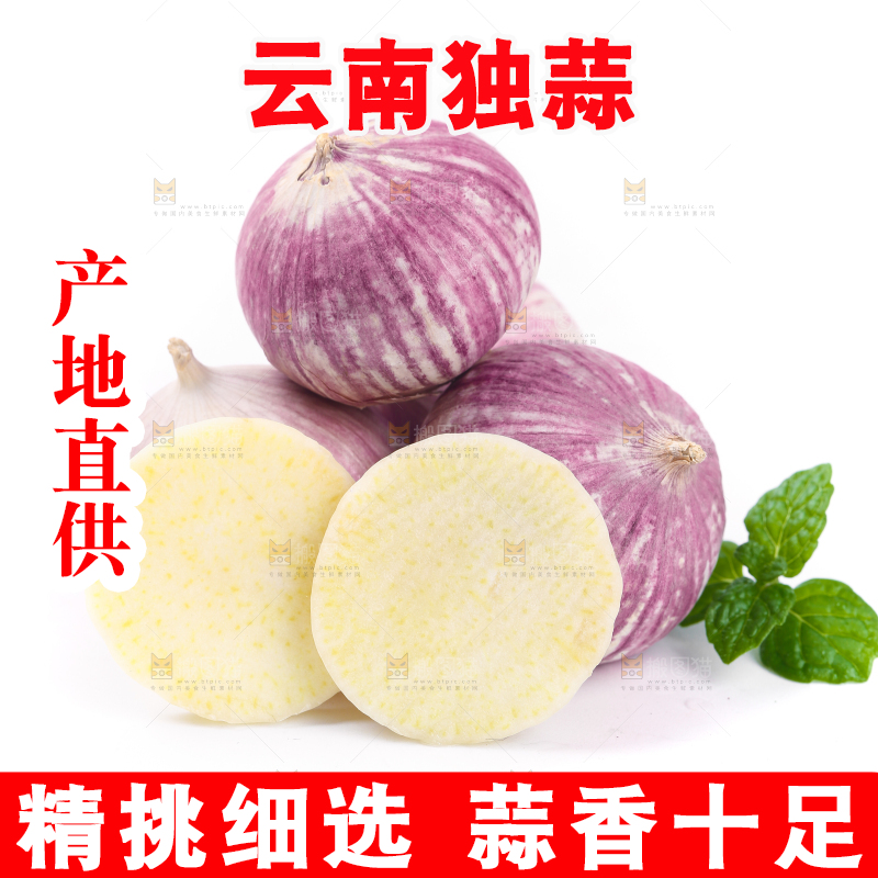 白底上摆放着紫皮独蒜