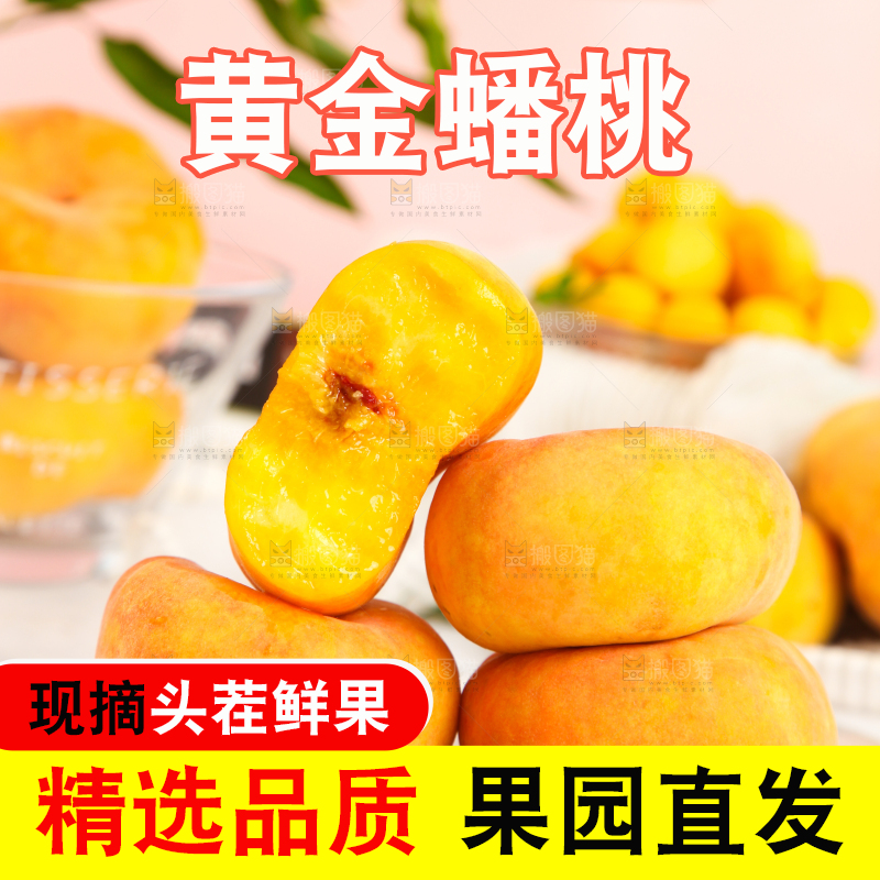 石板上的黄金扁桃