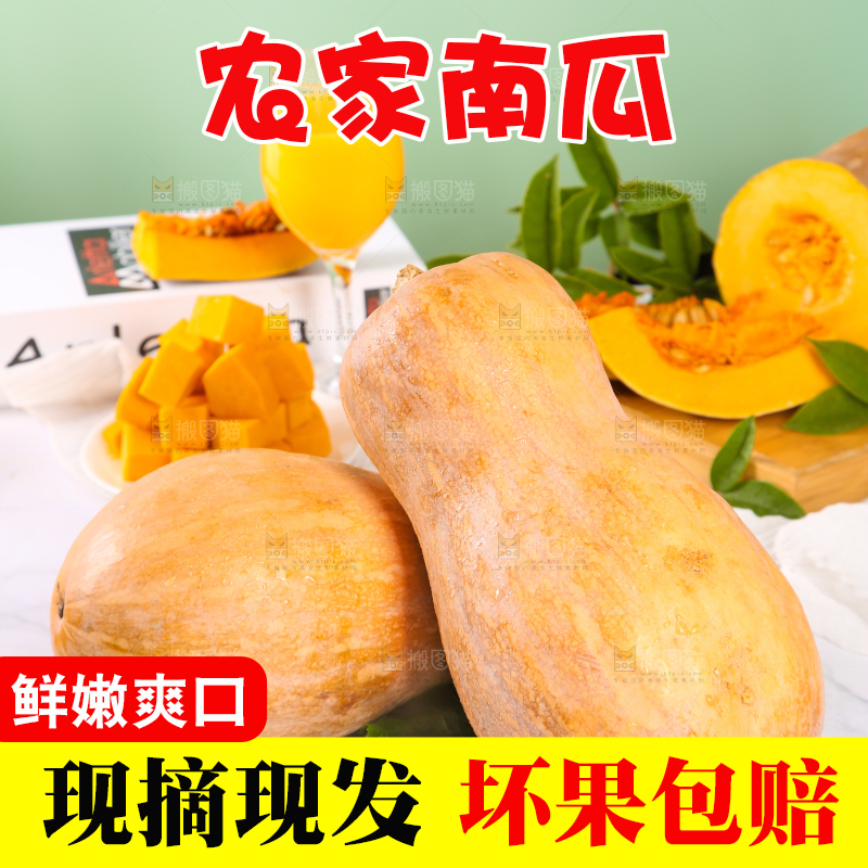 石板上的老南瓜
