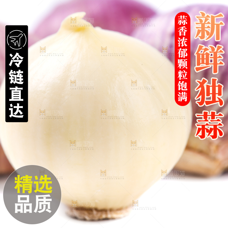 白底上摆放着紫皮独蒜