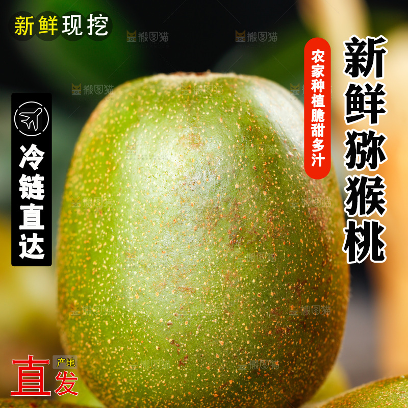 深底上的猕猴桃