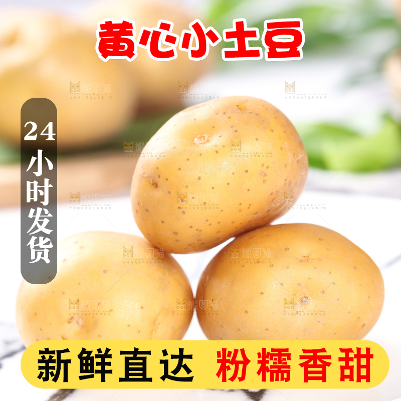 石板上放着一堆小土豆