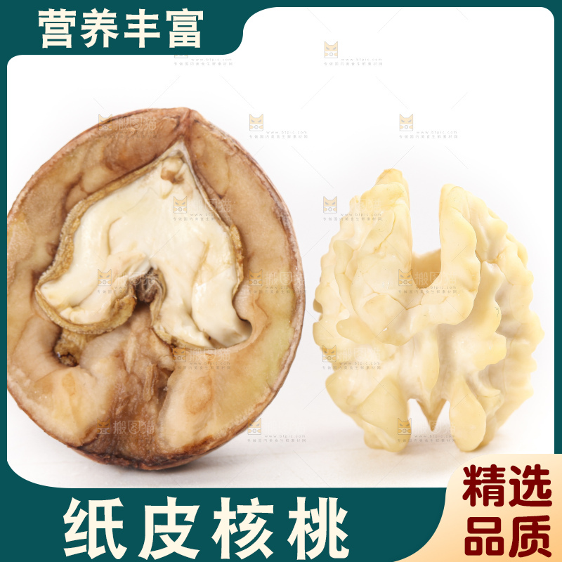 白底上的新鲜湿核桃