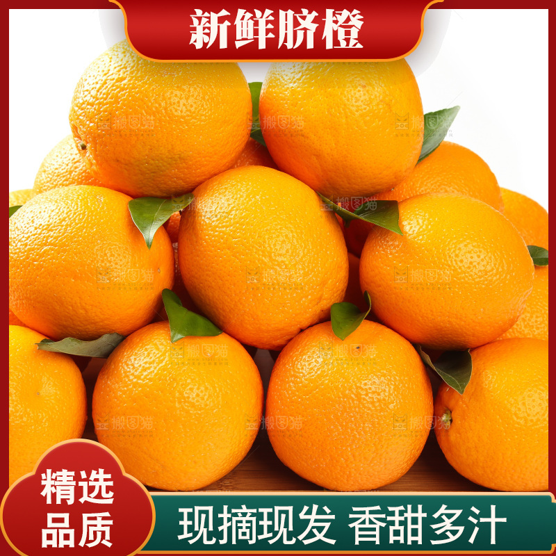 篮子里放着甜橙