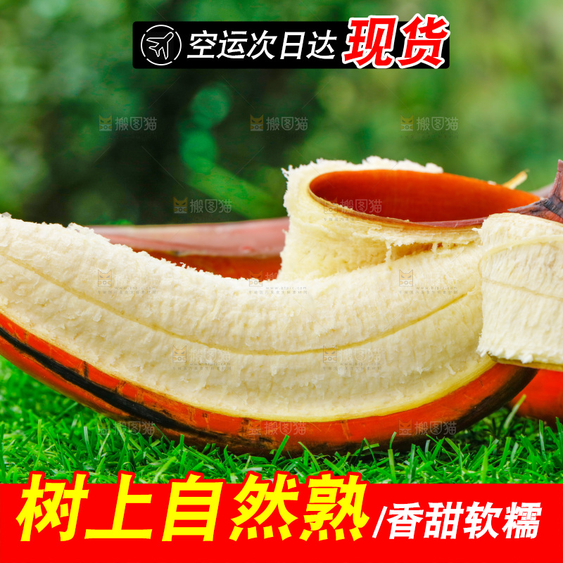 草地上放着剥皮的红皮美人蕉