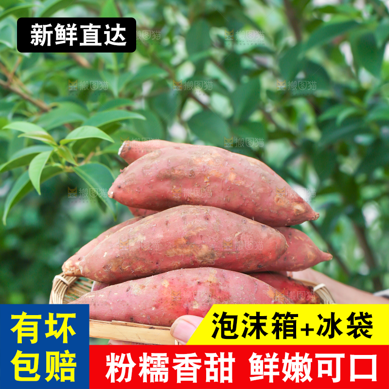 手里端着一盘红心红薯