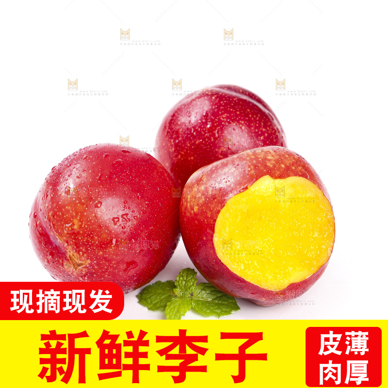 白底上的智利珍珠李