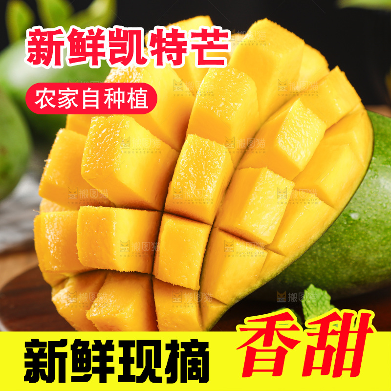 凯特芒主图