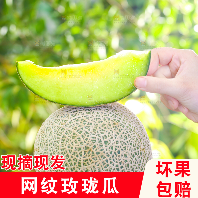 手拿切开的玫珑瓜