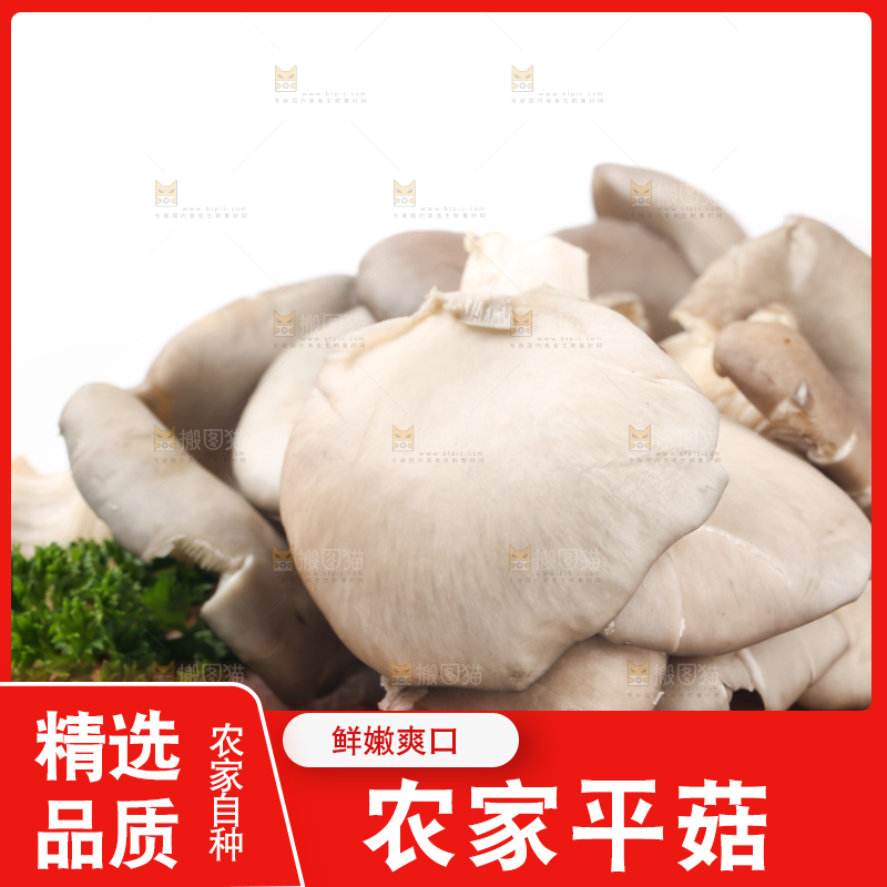 木底上摆放着平菇