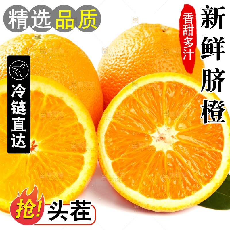 白底上摆放着橙子