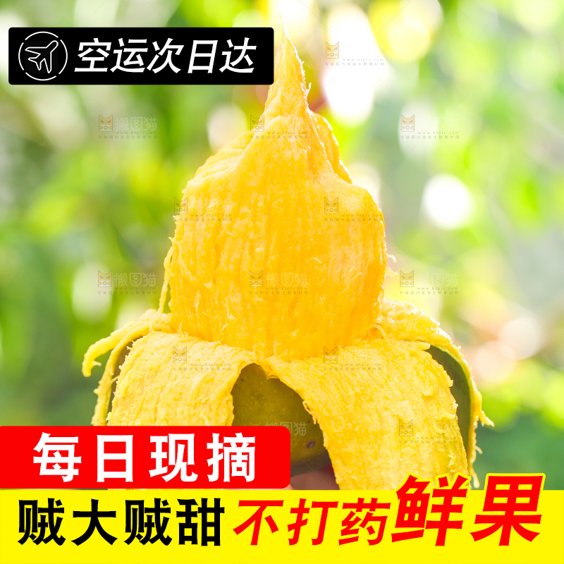 手拿剥皮的桂七芒