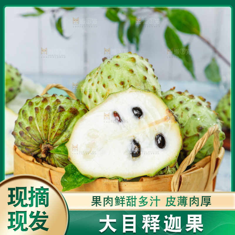 格子底上摆放着释迦果