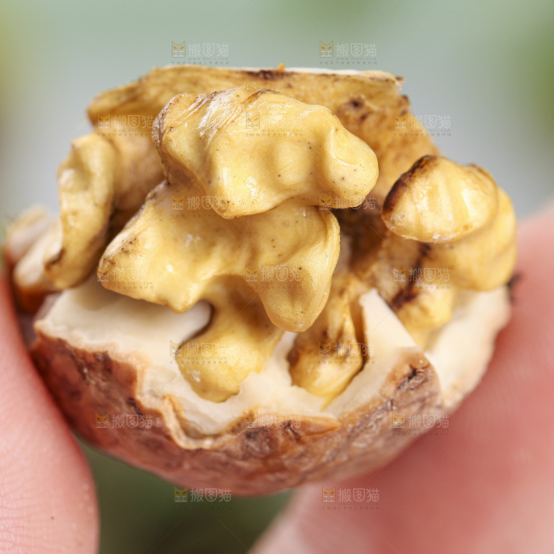 手拿新鲜湿核桃果仁