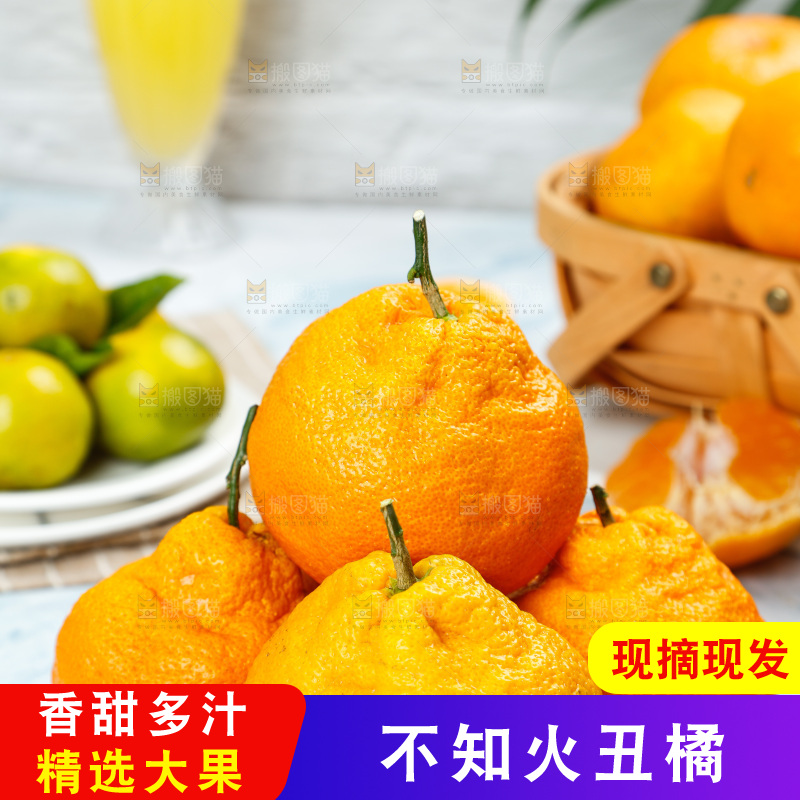 碟子里装着丑八怪