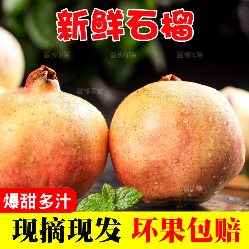 黑底上的石榴