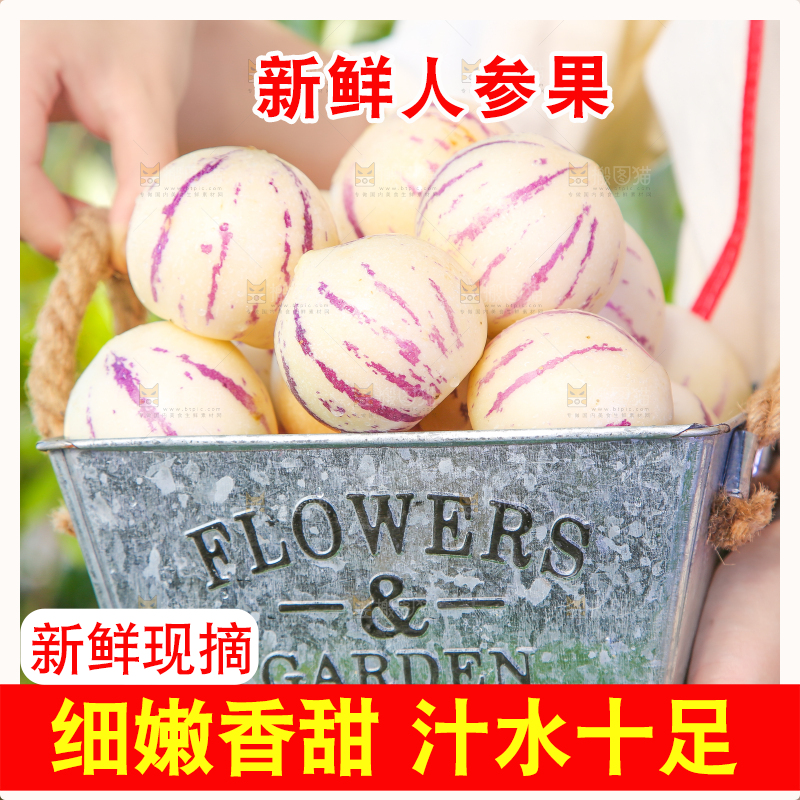 手拿一桶人参果