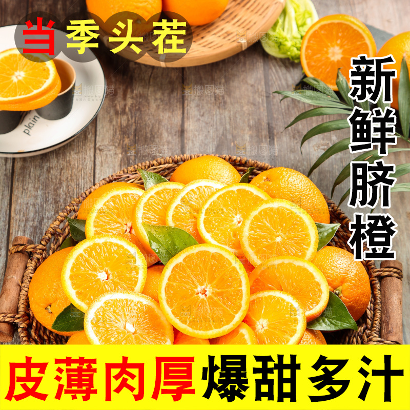 篮子里放着甜橙