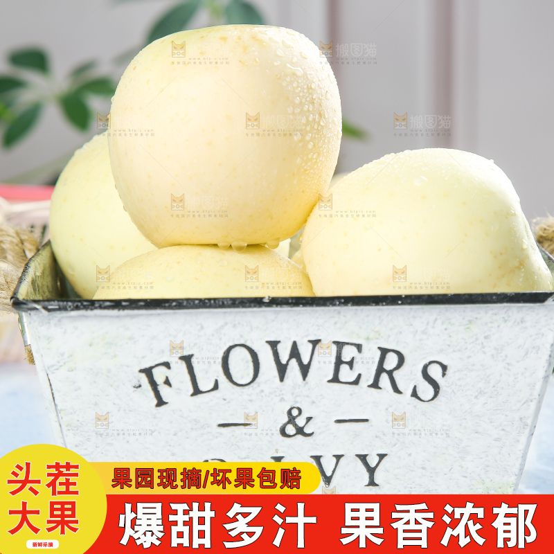 篮子里放着苹果